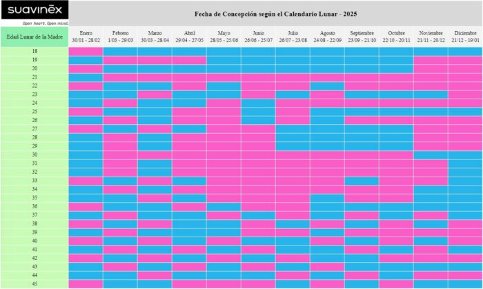 Calendario chino del embarazo 2025 Suavinex